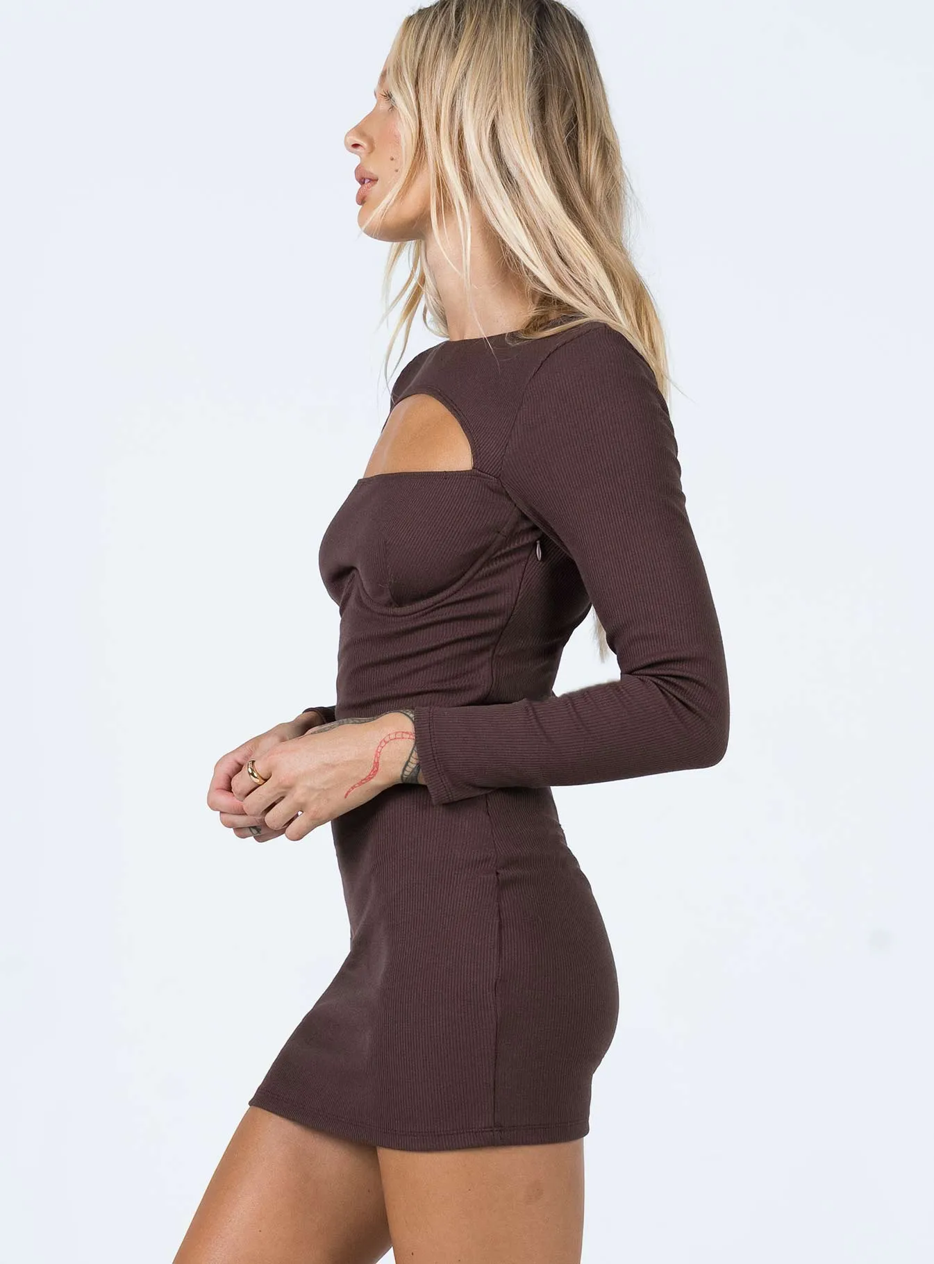 Alexander Mini Dress Brown