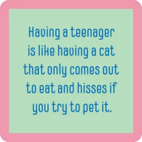 Coaster - Having A Teenager is Like Having A Cat