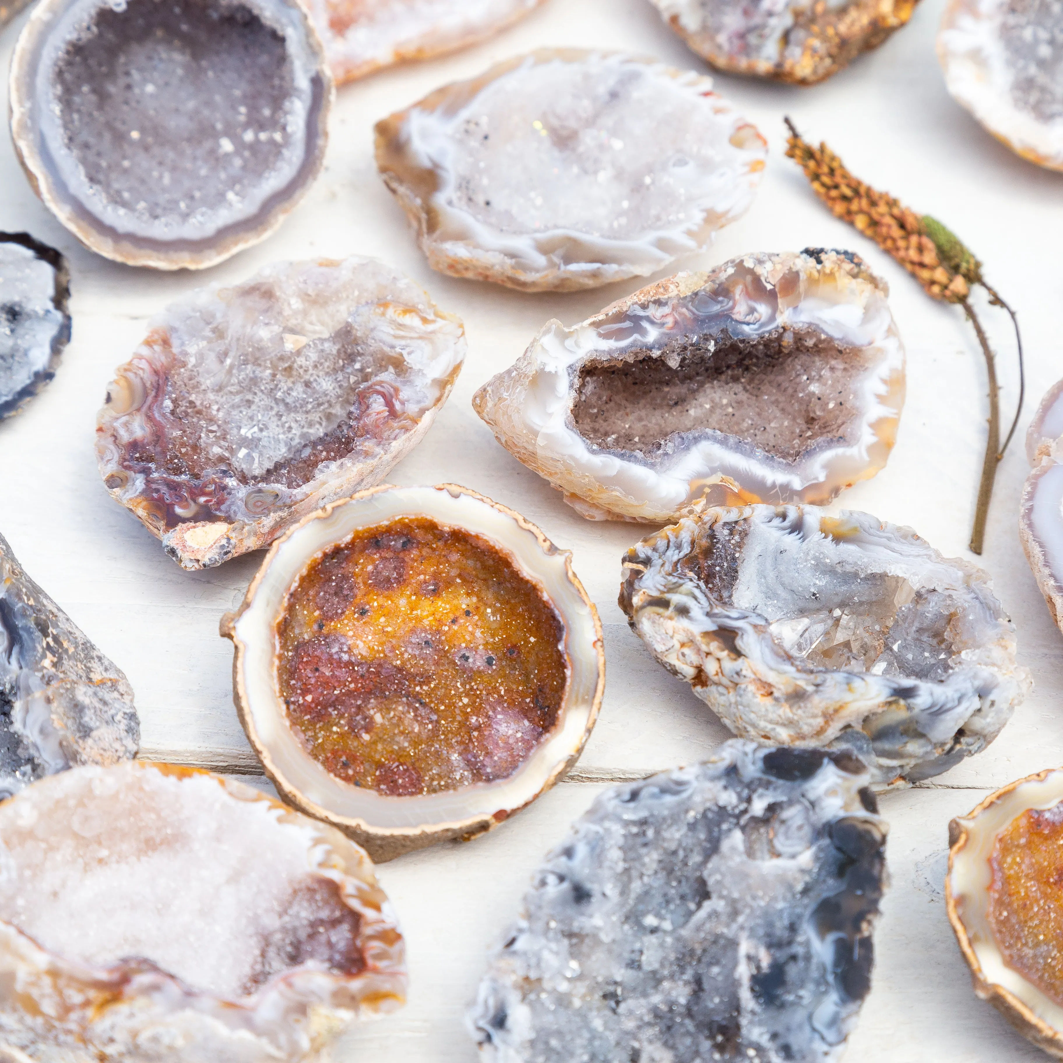 Geode Bowls - Polished on Edge, Half