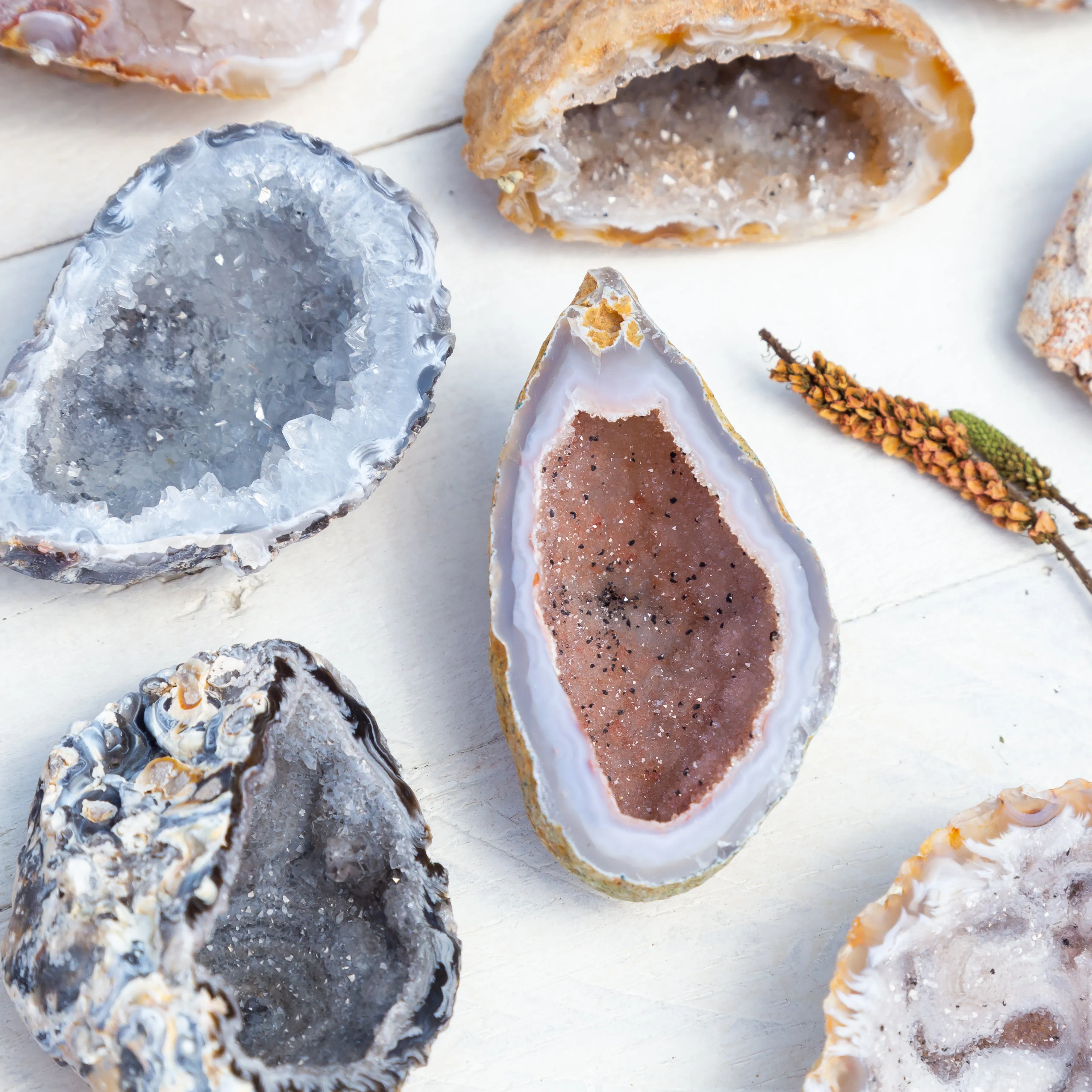 Geode Bowls - Polished on Edge, Half