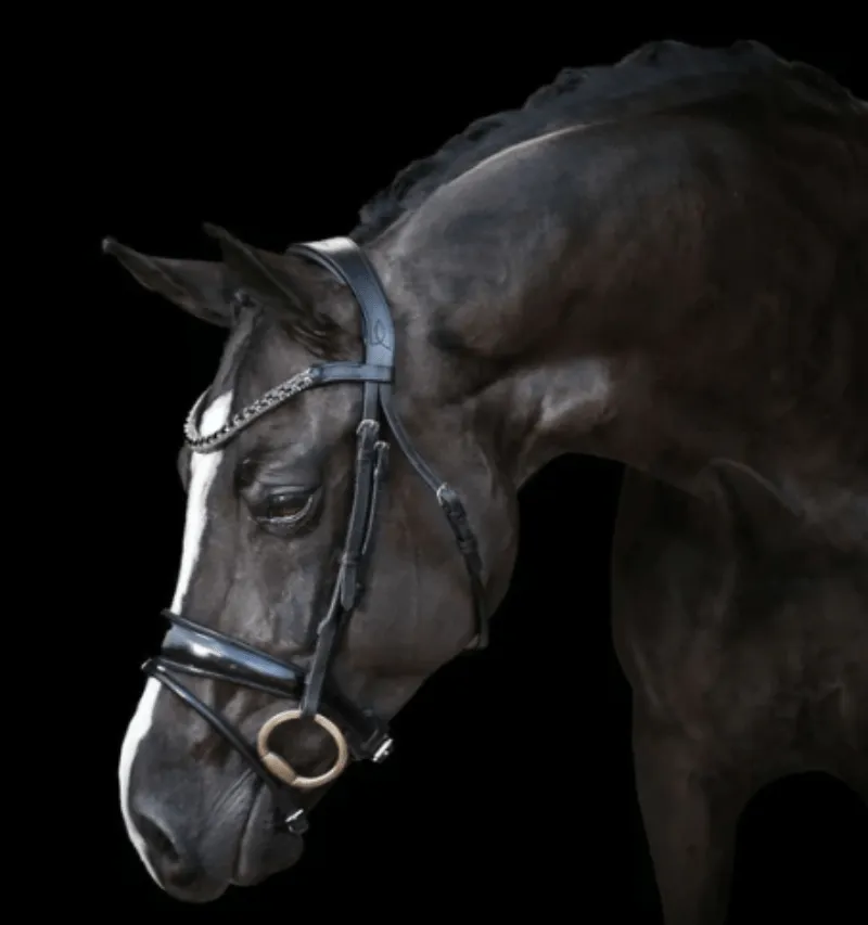 Lumiere Audrey Rolled Leather Bridle